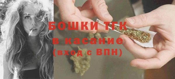 дживик Няндома