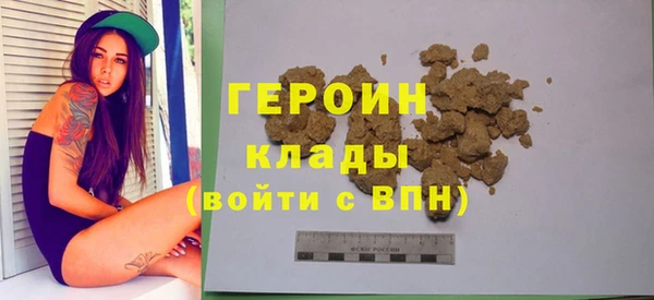 дживик Няндома