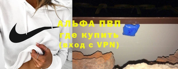 дживик Няндома