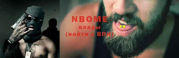 дживик Няндома