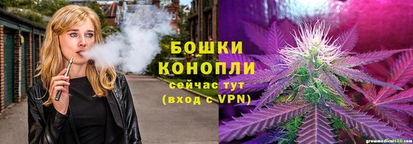 гидра Нязепетровск