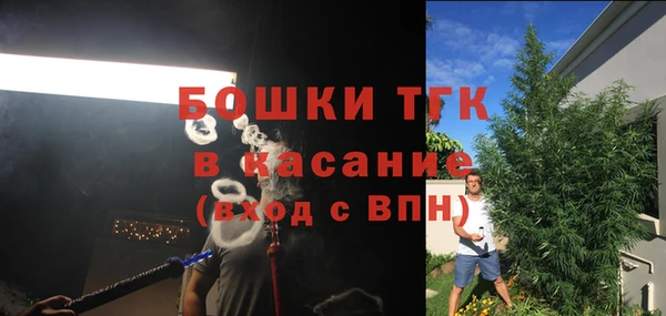 дживик Няндома